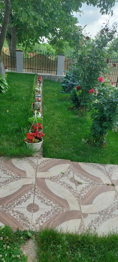 Pensiunea Happy Flowers Greci ภายนอก รูปภาพ